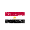 Egypt Flag Saying
