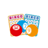 Bingo Team Shirt Gift
