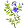 Fleur