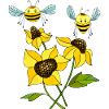 Insects