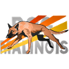 rapide malinois