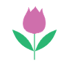 Tulip Flowers Tulips Garden Gardener