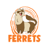 J’aime beaucoup Ferrets Frettchen