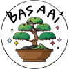 Japanese Kawaii Bonsai