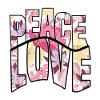 Peace Love