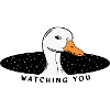 Star Duck vous regarde