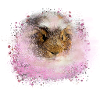 guinea pig, graffiti,painting,pink,pink