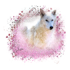 wolf,pink,dog, husky,dog, painting,graffiti