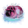 guinea pig,graffiti,painting,pink,pink,pop-art