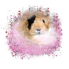 guinea pig, graffiti,painting,pink,pink
