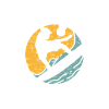 Surfer Design Surfer Expert Surfboard