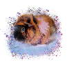 meerschweinchen, graffiti,malerei,rosa,blau
