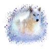 wolf,blue,dog, husky,dog, painting,graffiti