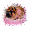 guinea pig, graffiti,painting,pink,pink
