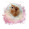 guinea pig, graffiti,painting,pink,pink