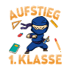 Aufstieg 1. Klasse Ninja