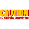Caution I'm Currently Unsupervised 2
