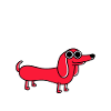 Don't Trip Over My Weiner
