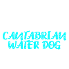 Cantabrian Water Dog
