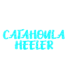 Catahoula Heeler