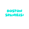 Boston Spaniels