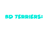 BD Terriers
