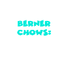 Bernese Chows