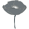 poppy grey