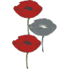 coquelicots et gris