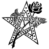 Den svarta rosen och stjärnan