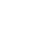 The boss