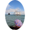 Segelschiff auf der Ostsee