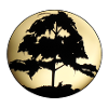 Tree of Light
