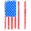 Wisconsin Usa flag gift