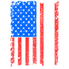 Virginia Usa flag gift