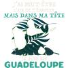 Message Guadeloupe Humour Antillais Antillaise