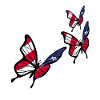 Butterfly Puerto Rican Flag