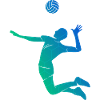 Volleyball Volleyball Women's Volleyball