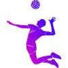 Beach volleyball Volleyball Volleyball