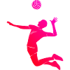 Volleyball players Volleyball playing volley