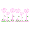 pink flowers rose line