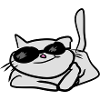 cool cat animal pet summer
