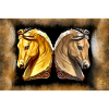 chevaux fjord
