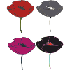 mohnblumen bunt