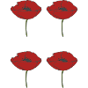 coquelicot