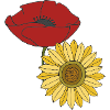 poppy sunflower