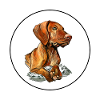 Vizsla Dog Aquarelle Peinture Illustration
