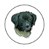 Wetterhoun Hund Aquarell Illustration