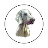 Weimaraner Hund Aquarell Illustration