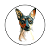 Ratonero Valenciano Dog Aquarelle Illustration